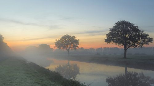 Morgendämmerung im Nebel.