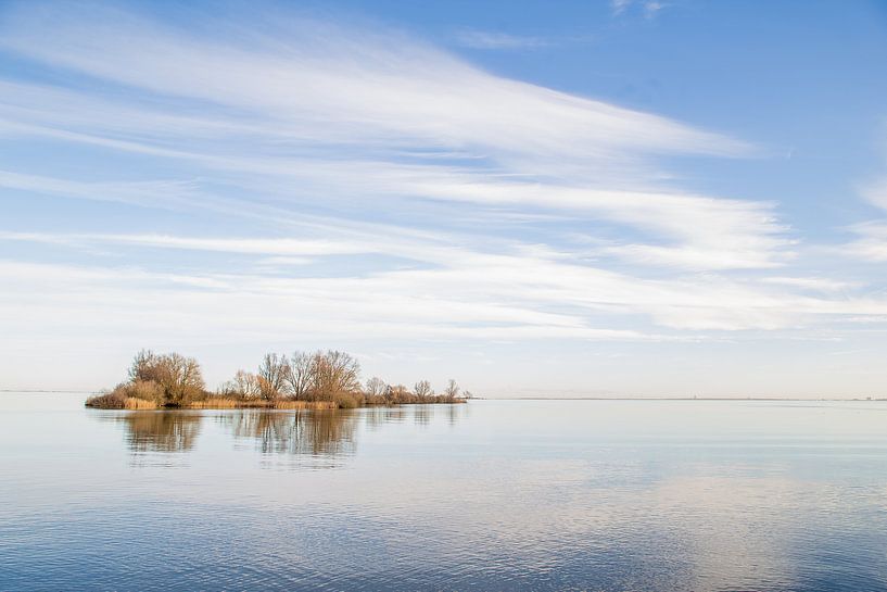 Eine einsame Insel von Omri Raviv