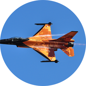 F-16 Fighting Falcon van Rogier Vermeulen