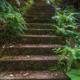 Hidden stairs by Thomas Herzog
