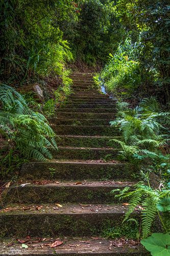 Hidden stairs by Thomas Herzog