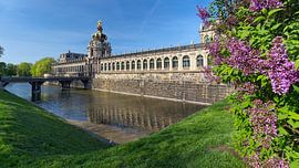 Dresdner Zwinger im Frühling von naturfotografie angela linnemann
