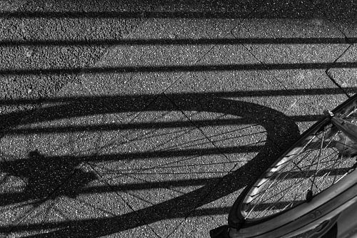 Fahrradrad und Schattenspender