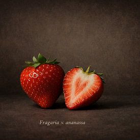 Strawberry by Bert Quaedvlieg