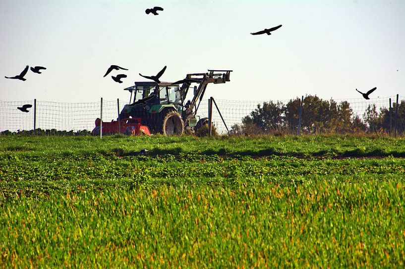 récolte d'automne par Edgar Schermaul
