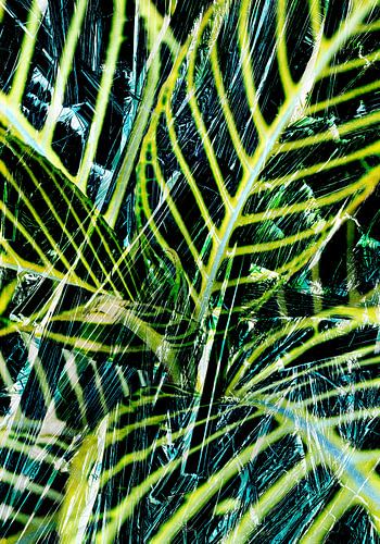 Regeki Good Luck Tree