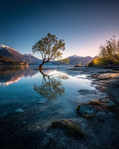 Farewell in pastel colours