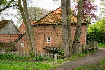 Molen van Frans, zijaanzicht