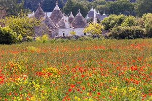 Trulli dans les Pouilles