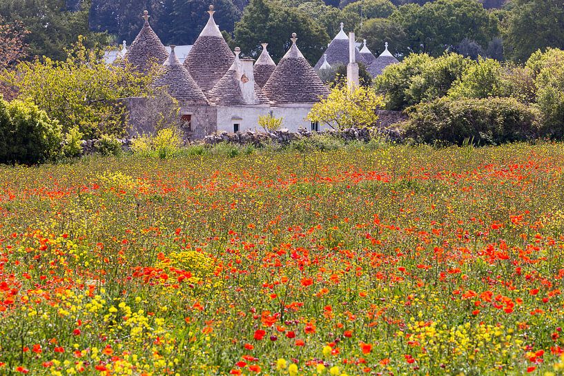 Trulli dans les Pouilles par Antwan Janssen