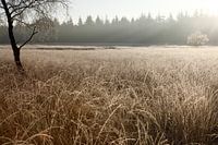 Deelense was in de winter