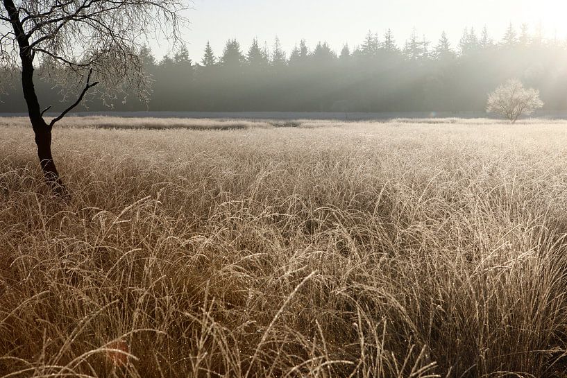 Deelense was in de winter von Menno Bausch