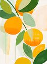 Aquarell-Orangen von haroulita Miniaturansicht