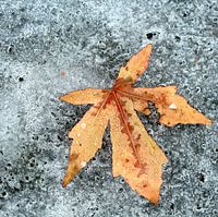 2 seasons