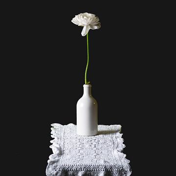 nature morte renoncule blanche dans vase blanc avec tapis sur Andrea de Grauw