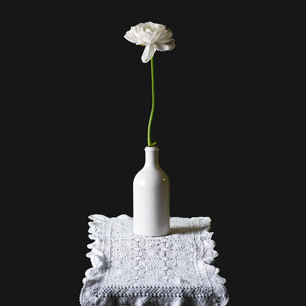 still life white ranunculus in white vase with rug by Andrea de Grauw