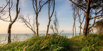 Blick zum Strand