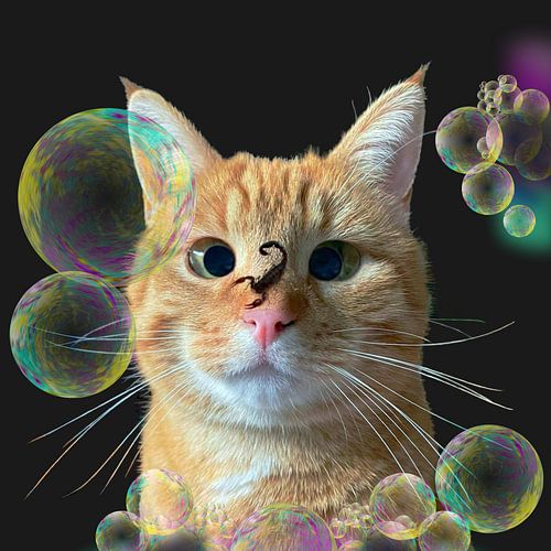 Angstige kat met schorpioen op neus