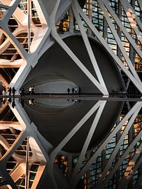 Mega-Auge von Maarten Hooijmeijer