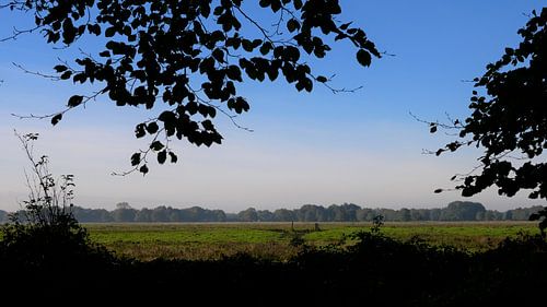 Doorkijkje naar het Anderense Diepje vanuit de bosrand