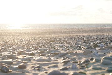 Romantischer Strand im Sonnenlicht von Maximilian Burnos