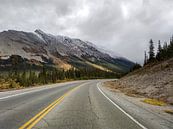 Icefields Parkway zwischen Jasper und dem Banff-Nationalpark von Daan Duvillier | Dsquared Photography Miniaturansicht