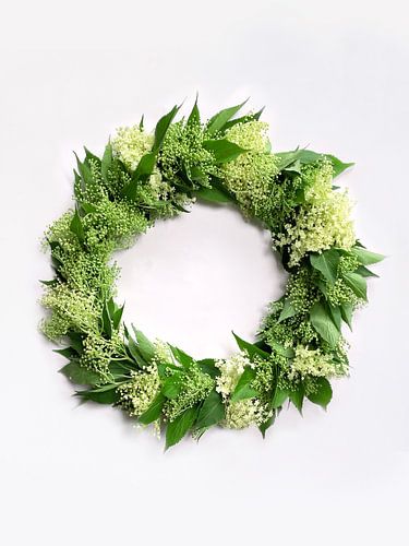 Holunderblütenkranz