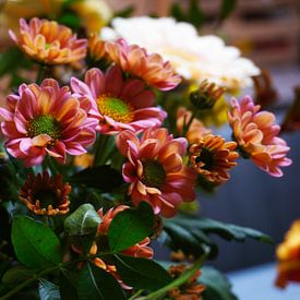 bloemen van Kimberly Van Muylder
