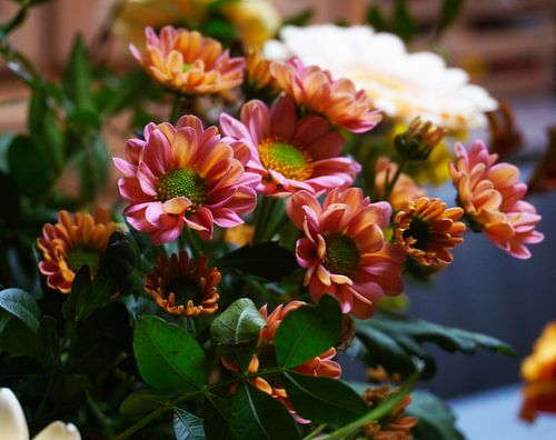 Blumen von Kimberly Van Muylder