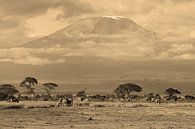 Kilimanjaro Sepia Collection van Roland Smeets thumbnail
