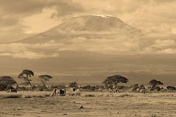 Kilimanjaro Sepia Collection van Roland Smeets