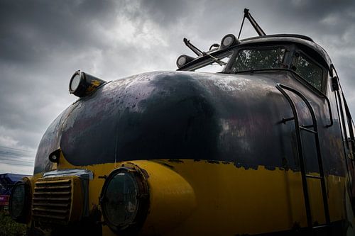 Hondekop Beneluxtrein