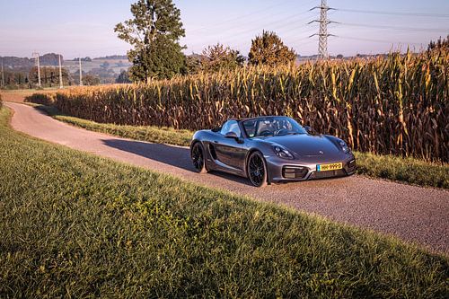 Porsche Boxster GTS Typ 981