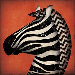 Zebra Wow, Ryan Fowler