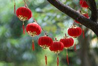 China van Pieter Boogaard thumbnail