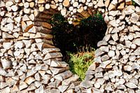Heart in wood pile - Kaltenbronn