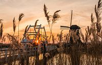 Sunset Kinderdijk