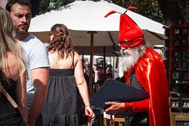 The little red ant by BL Photography