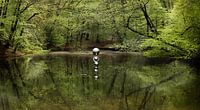 Kunst en natuur Sonsbeek von Jan  Sterken Miniaturansicht