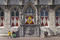 Menschen vor dem alten Rathaus von Middelburg Zeeland in den Niederlanden von Bart Ros Miniaturansicht