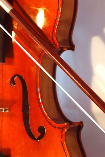 Violin by Thomas Jäger