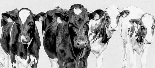 Beste vrienden in de wei