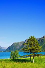 A Lovely Sunny Day in the Far North by Gisela Scheffbuch