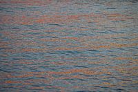 Oranje linten op het water.