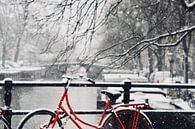 Red Bike in the Snow van Dana Marin thumbnail