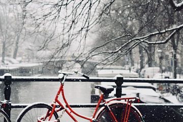 Red Bike in the Snow