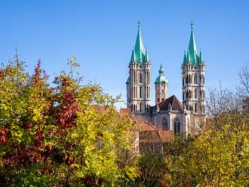 Naumburg - Dom van Naumburg in de herfst van t.ART