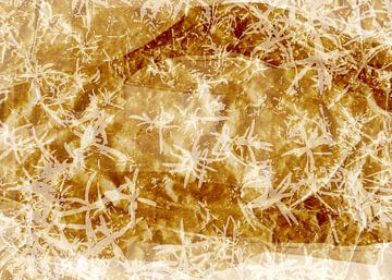 Gouden herinneringen. Wabi-sabi botanisch abstract. van Dina Dankers