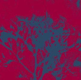 Abstract botanical art. Organic shapes in wine red and blue. by Dina Dankers