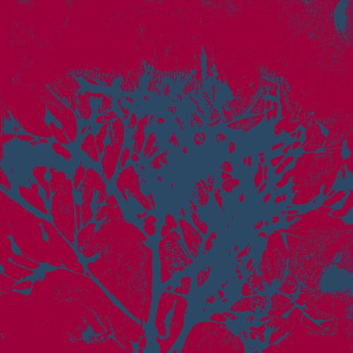 Abstracte botanische kunst. Organische vormen in wijnrood en blauw.